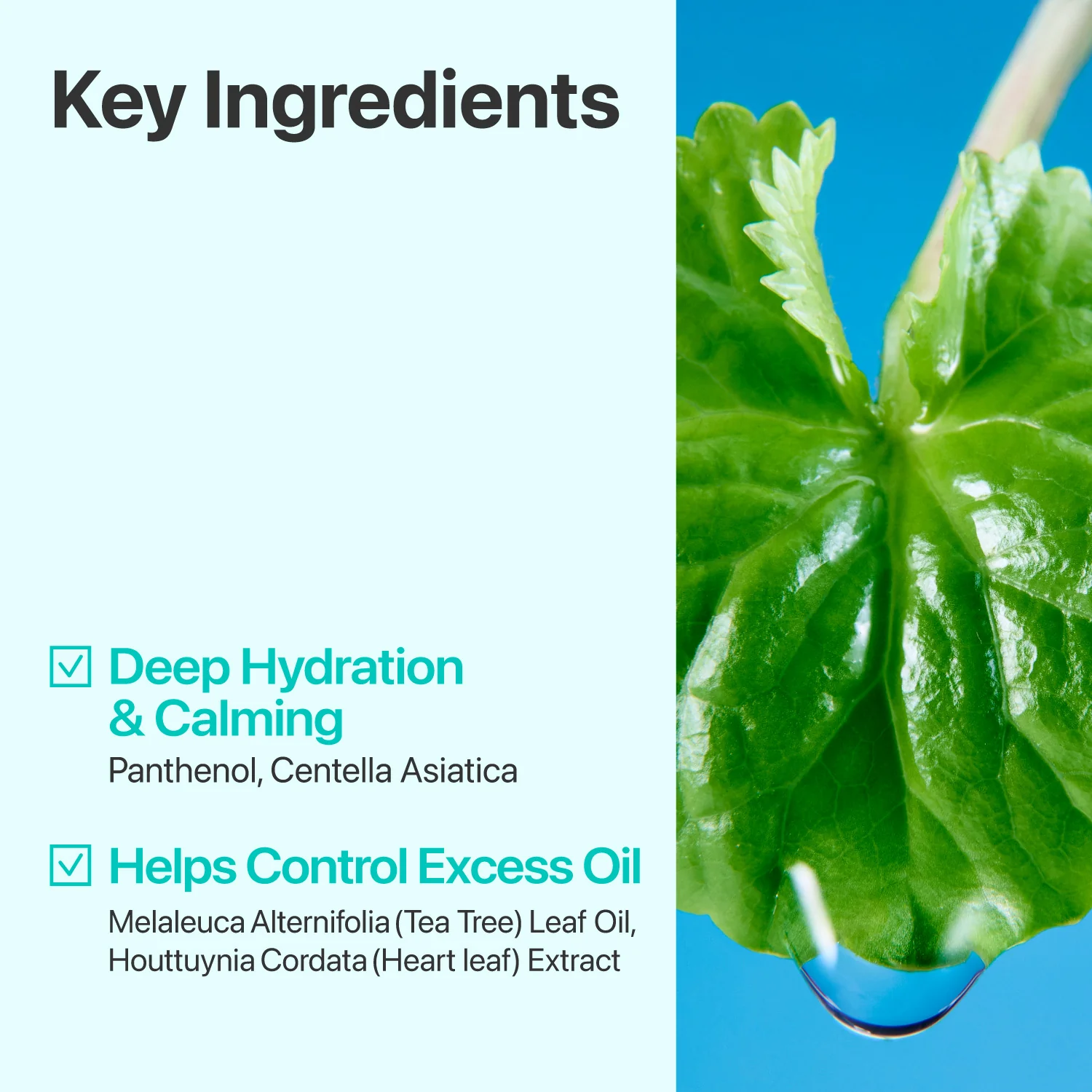 No.1 Centella Re-Leaf Green Toner Pads - Image 6